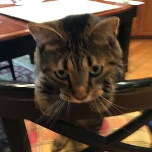 Meet your Posher, Christy